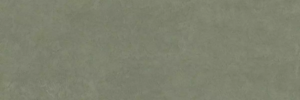 PLASTER DL.GMN.MS.NT 300x100