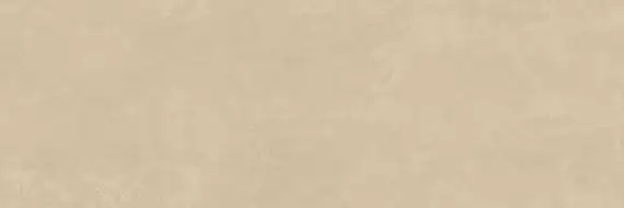 PLASTER DL.GMN.PL.NT 300x100