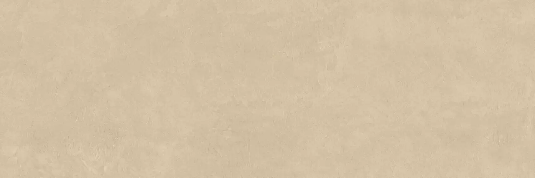 PLASTER DL.GMN.PL.NT 300x100