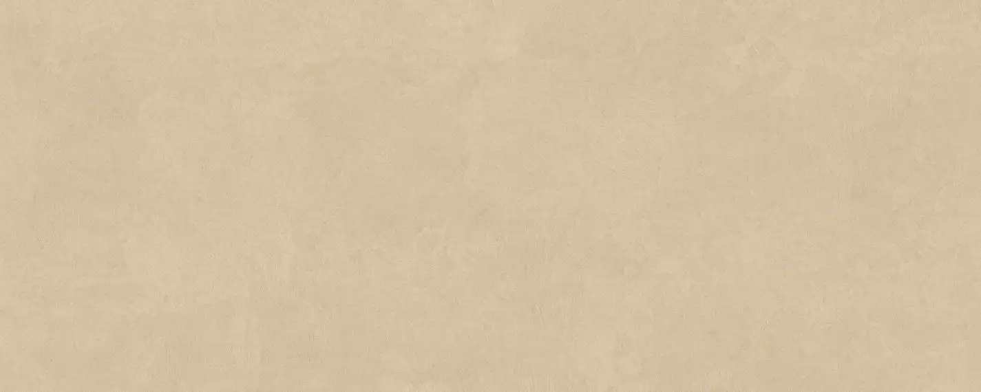 PLASTER DL.GMN.PL.NT RU 300x120