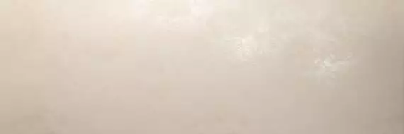 PLASTER DL.OX.AV.NT RU 300x100