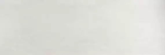 PLASTER DL.OX.BN.NT RU 300x100