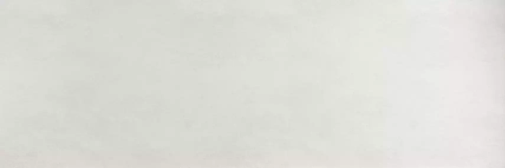 PLASTER DL.OX.BN.NT RU 300x100