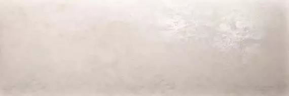 PLASTER DL.OX.PR.NT 300x100