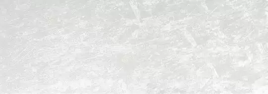 POLO BLANCO 31,6X90