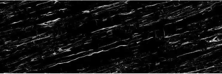 PORTORO SILVER Polished 240x80