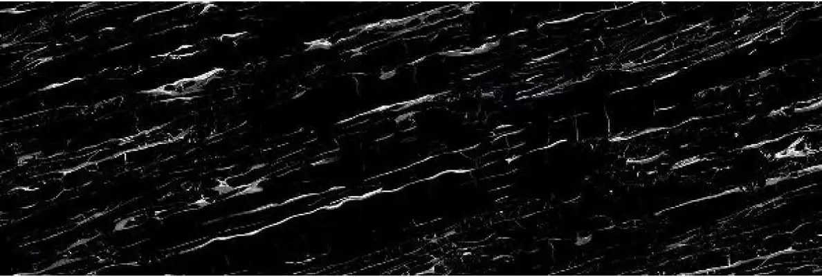 PORTORO SILVER Polished 240x80
