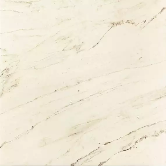 PP-01-160-0598-0598-1-011 Larda white POL 59,8x59,8