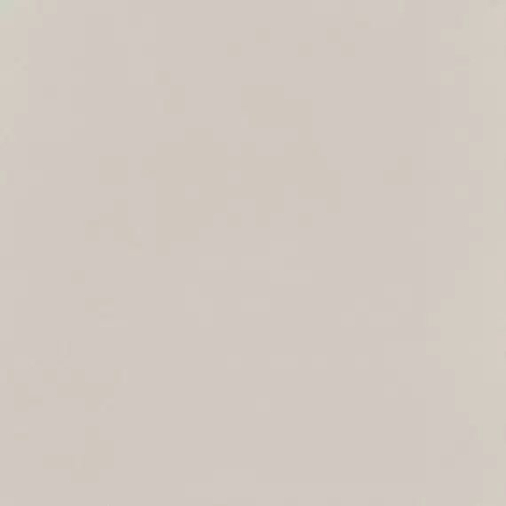 PP-01-165-0598-0598-1-095 Elementary dust MAT 59,8x59,8