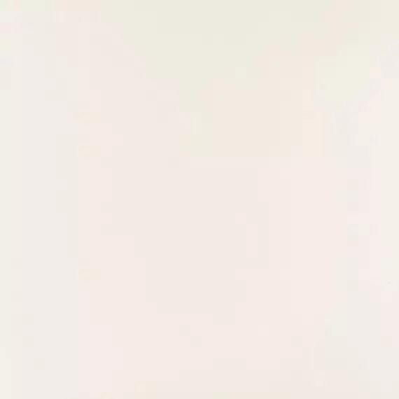 PP-01-165-0598-0598-1-101 Elementary white MAT 59,8x59,8