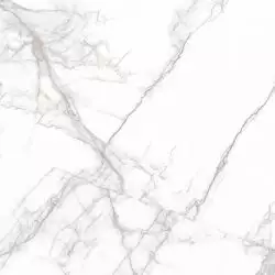PR114 Arena White Polished 600x600