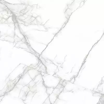 PR114 Arena White Polished 600x600