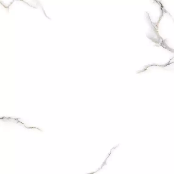 PR124 Kalos Bianco Polished 600x600