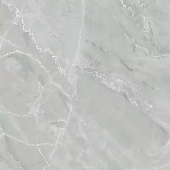 PR152 Керамогранит Almond Light Grey Polished 60x60