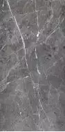 PR208 Ardesia Grafito Polished 600x1200