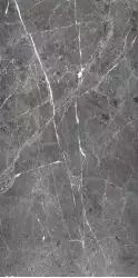 PR208 Ardesia Grafito Polished 600x1200