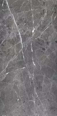 PR208 Ardesia Grafito Polished 600x1200