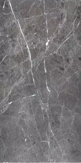 PR208 Ardesia Grafito Polished 600x1200
