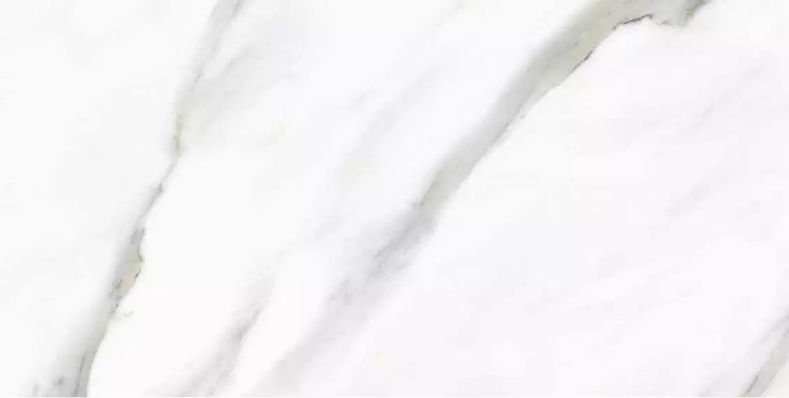 PR233 Керамогранит Pirgos White Polished 60x120