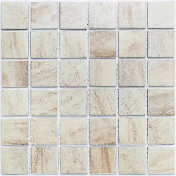 PR4848-31 Мозаика Porcelain 306х306