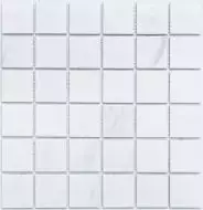 PR4848-32 Мозаика Porcelain 306х306