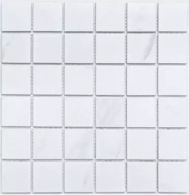 PR4848-32 Мозаика Porcelain 306х306