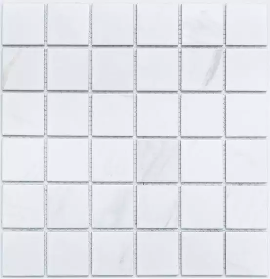 PR4848-32 Мозаика Porcelain 306х306