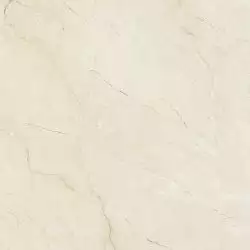 PR6060L Dynasty Rectificado 59x59