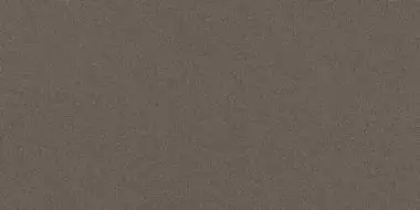 PRTU 12DG RM PARADE 60x120