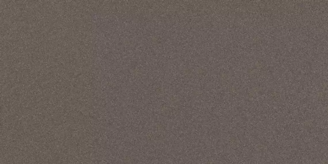 PRTU 12DG RM PARADE 60x120
