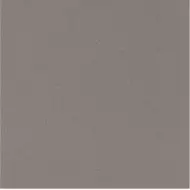 PRTU 60G RM PARADE 60x60