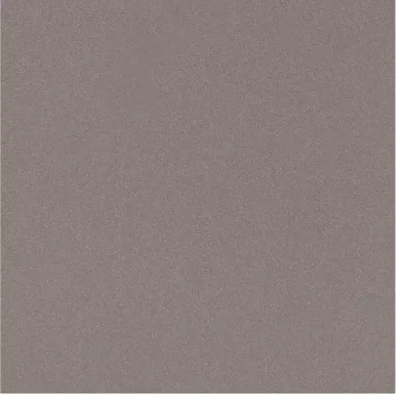 PRTU 60G RM PARADE 60x60