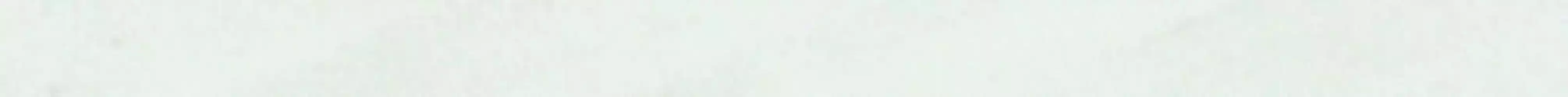 PRWC10 Preciouswall Statuario Coprifilo 1.5x25