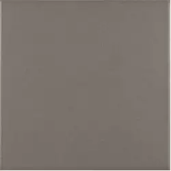 PT02104 ANTIGUA BASE GRIS 20X20
