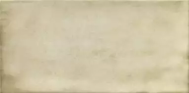 PT02254 Treviso Blanco 10х20
