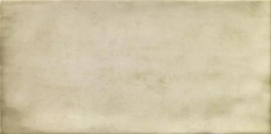 PT02254 Treviso Blanco 10х20
