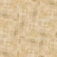 PT02362 Ravena Crema 20x20