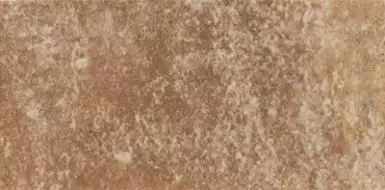 PT02379 Ravena Cotto 10x20
