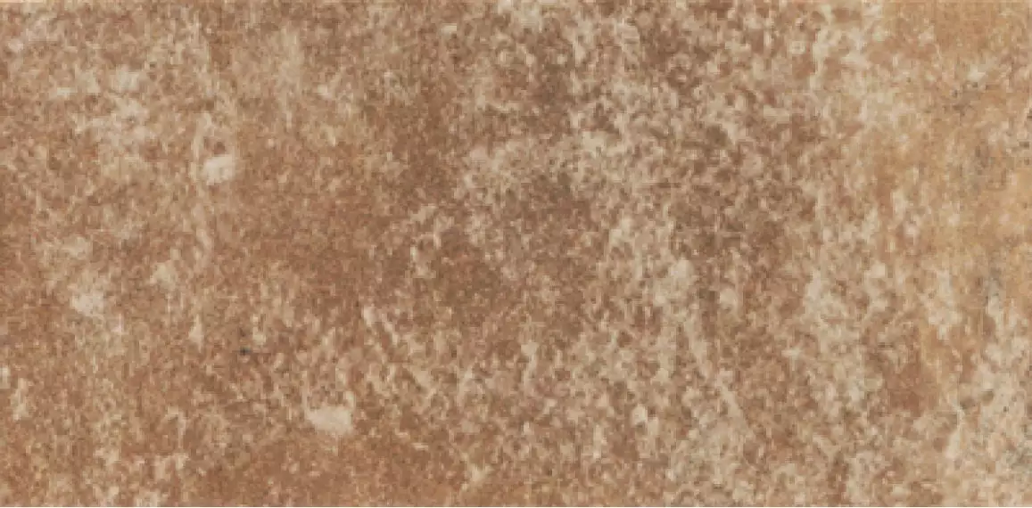 PT02379 Ravena Cotto 10x20