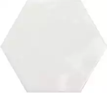 PT03134 Hex White Glossy 15x17,3
