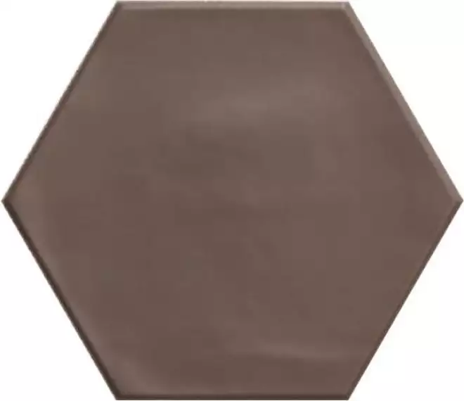 PT03151 Hex Brown Matt 15x17,3