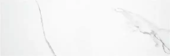 PUNE BLANCO BRILLO 33,3x100