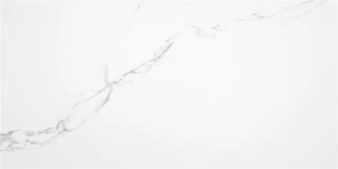 PUNE BLANCO MATE RECT 60x120