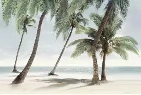 PWA11ALD2 Ailand 40x60