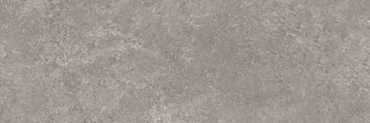 PZ7PM30 GREIGE PRIME PLUS 100x300x5,5