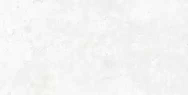Padma White 30x60