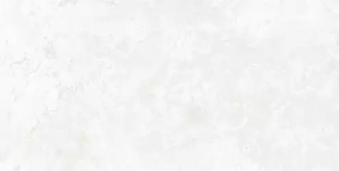 Padma White 30x60