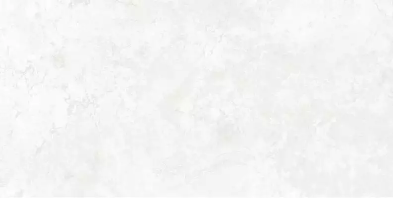 Padma White 30x60