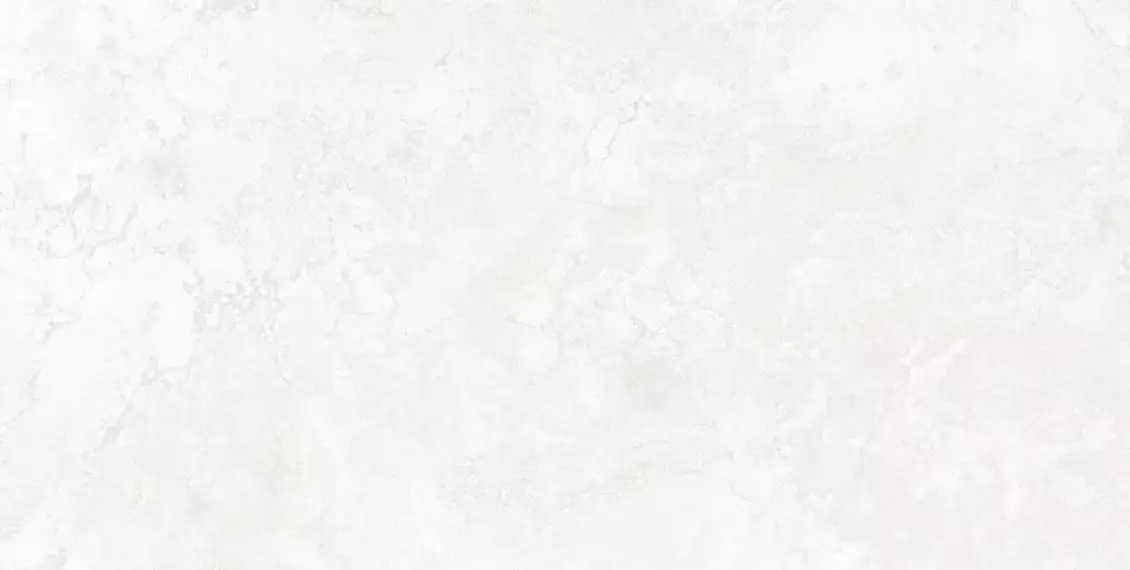 Padma White 30x60