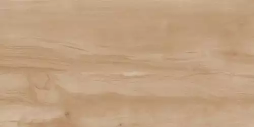 Paint Wood Bone Gloss 60x120